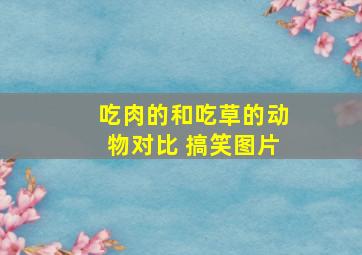 吃肉的和吃草的动物对比 搞笑图片